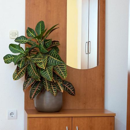 Apartments Vila Adrijana & Fitness Studio Wolf Bv Baška Voda Extérieur photo